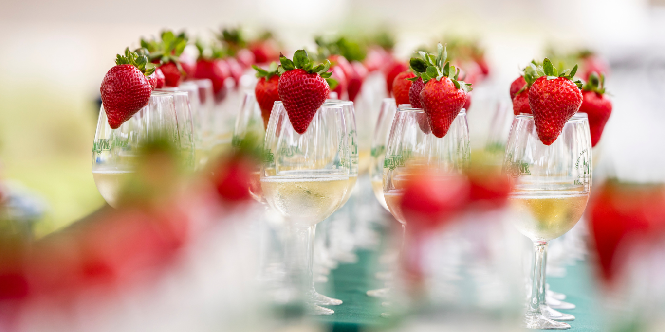 angels-wine-food-brew-festival-hosts-sponsors