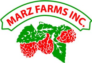 MARZ INC. LOGO.ai