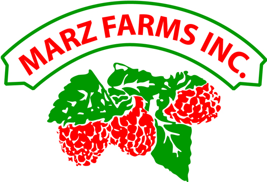 MARZ INC. LOGO.ai